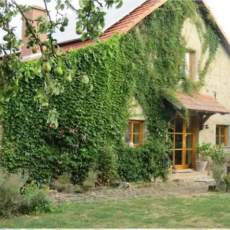 Haus Falkenhof Knüllwald Εξωτερικό φωτογραφία