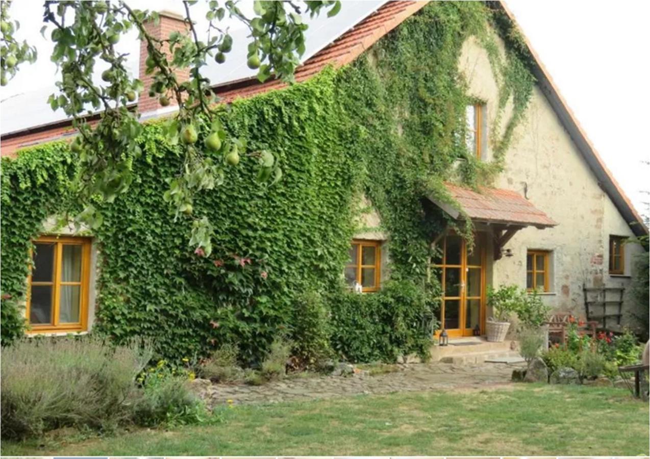 Haus Falkenhof Knüllwald Εξωτερικό φωτογραφία